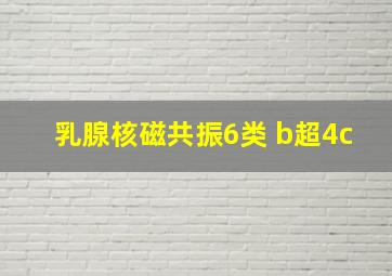 乳腺核磁共振6类 b超4c